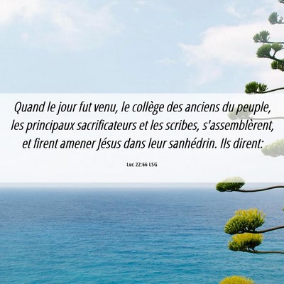 Picture 06 - Luc 22:66 LSG - Quand le jour fut venu, le collège des anciens - Bible Verse Picture