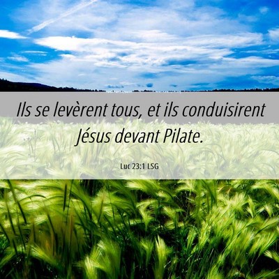 Picture 06 - Luc 23:1 LSG - Ils se levèrent tous, et ils conduisirent Jésus - Bible Verse Picture