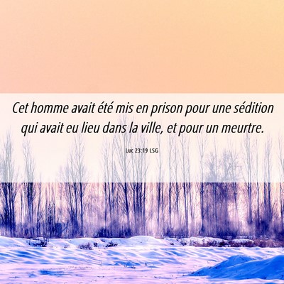 Picture 06 - Luc 23:19 LSG - Cet homme avait été mis en prison pour une - Bible Verse Picture
