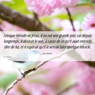Picture 06 - Luc 23:8 LSG - Lorsque Hérode vit Jésus, il en eut une grande - Bible Verse Picture