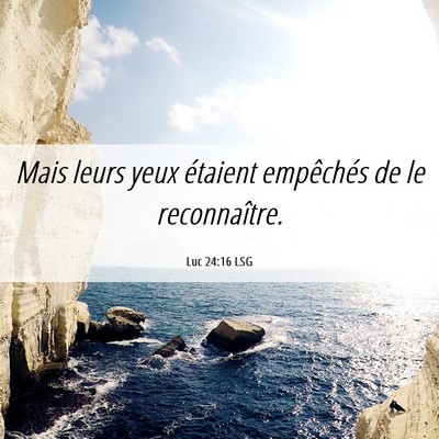 Picture 06 - Luc 24:16 LSG - Mais leurs yeux étaient empêchés de le - Bible Verse Picture
