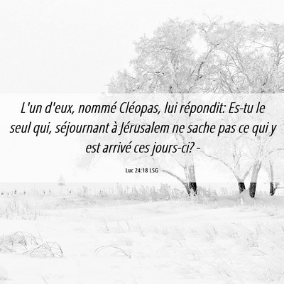 Picture 06 - Luc 24:18 LSG - L'un d'eux, nommé Cléopas, lui répondit: Es-tu - Bible Verse Picture