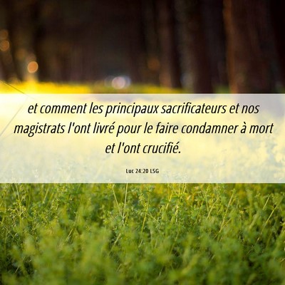 Picture 06 - Luc 24:20 LSG - et comment les principaux sacrificateurs et nos - Bible Verse Picture
