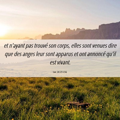 Picture 06 - Luc 24:23 LSG - et n'ayant pas trouvé son corps, elles sont - Bible Verse Picture