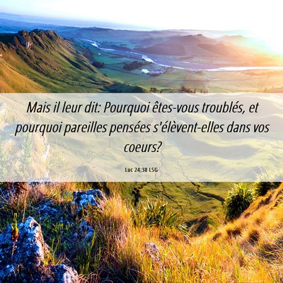 Picture 06 - Luc 24:38 LSG - Mais il leur dit: Pourquoi êtes-vous troublés, - Bible Verse Picture