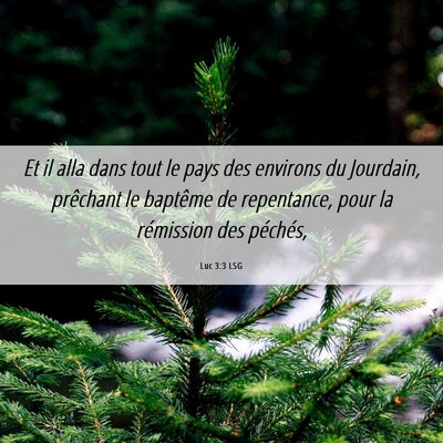 Picture 06 - Luc 3:3 LSG - Et il alla dans tout le pays des environs du - Bible Verse Picture