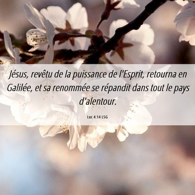 Picture 06 - Luc 4:14 LSG - Jésus, revêtu de la puissance de l'Esprit, - Bible Verse Picture