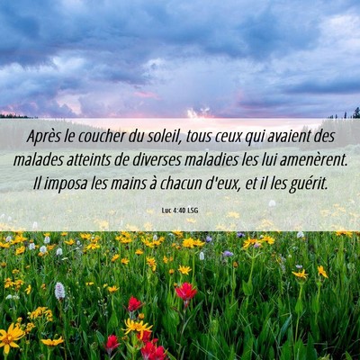 Picture 06 - Luc 4:40 LSG - Après le coucher du soleil, tous ceux qui - Bible Verse Picture