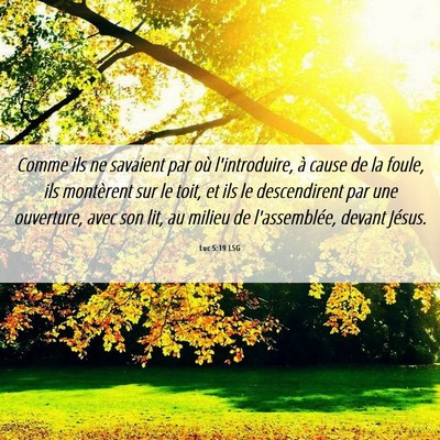 Picture 06 - Luc 5:19 LSG - Comme ils ne savaient par où l'introduire, à - Bible Verse Picture