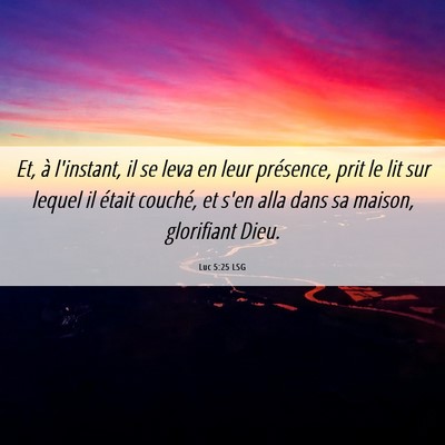 Picture 06 - Luc 5:25 LSG - Et, à l'instant, il se leva en leur présence, - Bible Verse Picture