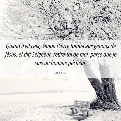 Picture 06 - Luc 5:8 LSG - Quand il vit cela, Simon Pierre tomba aux genoux - Bible Verse Picture