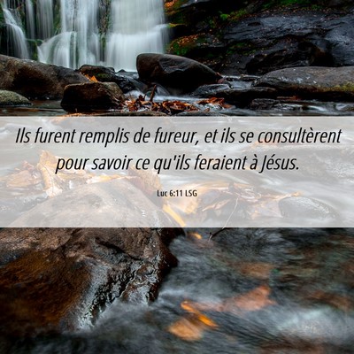 Picture 06 - Luc 6:11 LSG - Ils furent remplis de fureur, et ils se - Bible Verse Picture