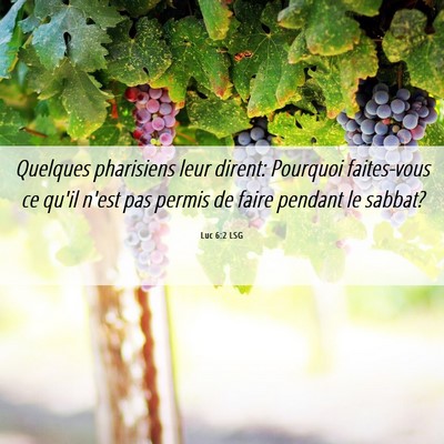 Picture 06 - Luc 6:2 LSG - Quelques pharisiens leur dirent: Pourquoi - Bible Verse Picture