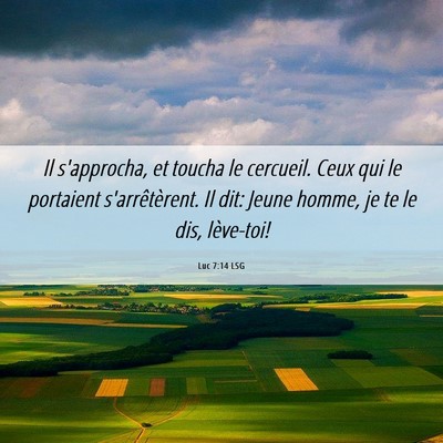 Picture 06 - Luc 7:14 LSG - Il s'approcha, et toucha le cercueil. Ceux qui le - Bible Verse Picture