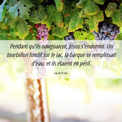 Picture 06 - Luc 8:23 LSG - Pendant qu'ils naviguaient, Jésus s'endormit. Un - Bible Verse Picture
