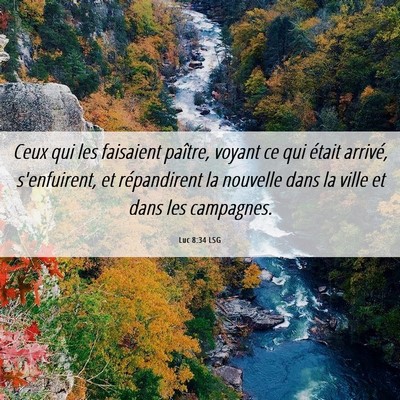 Picture 06 - Luc 8:34 LSG - Ceux qui les faisaient paître, voyant ce qui - Bible Verse Picture
