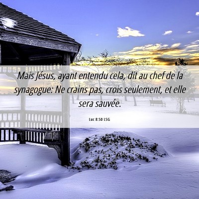Picture 06 - Luc 8:50 LSG - Mais Jésus, ayant entendu cela, dit au chef de - Bible Verse Picture