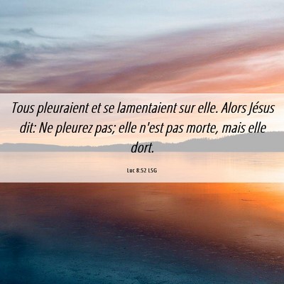 Picture 06 - Luc 8:52 LSG - Tous pleuraient et se lamentaient sur elle. Alors - Bible Verse Picture