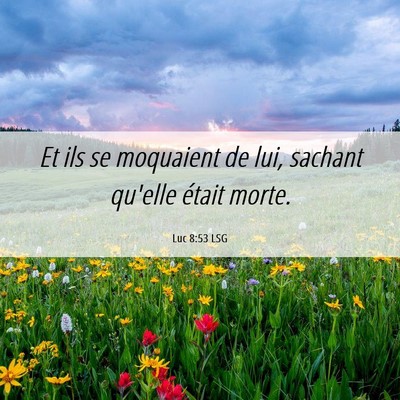 Picture 06 - Luc 8:53 LSG - Et ils se moquaient de lui, sachant qu'elle - Bible Verse Picture