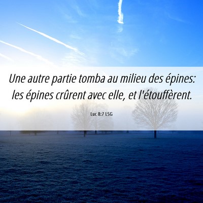 Picture 06 - Luc 8:7 LSG - Une autre partie tomba au milieu des épines: les - Bible Verse Picture