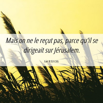 Picture 06 - Luc 9:53 LSG - Mais on ne le reçut pas, parce qu'il se - Bible Verse Picture