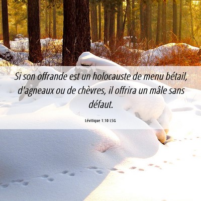 Picture 06 - Lévitique 1:10 LSG - Si son offrande est un holocauste de menu - Bible Verse Picture