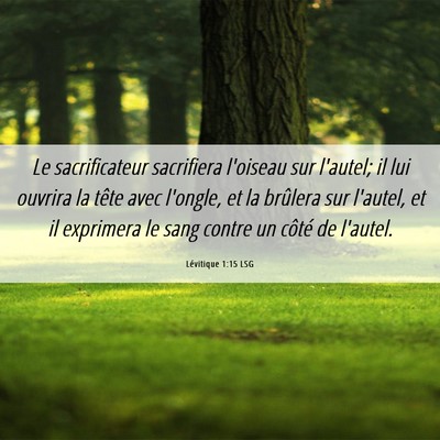 Picture 06 - Lévitique 1:15 LSG - Le sacrificateur sacrifiera l'oiseau sur l'autel; - Bible Verse Picture