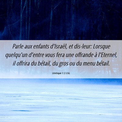 Picture 06 - Lévitique 1:2 LSG - Parle aux enfants d'Israël, et dis-leur: Lorsque - Bible Verse Picture