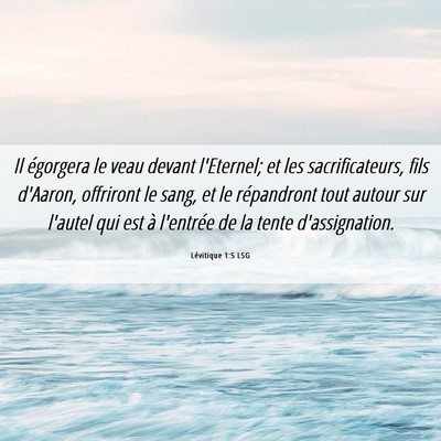 Picture 06 - Lévitique 1:5 LSG - Il égorgera le veau devant l'Eternel; et les - Bible Verse Picture
