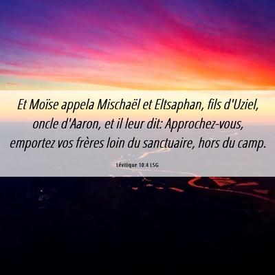 Picture 06 - Lévitique 10:4 LSG - Et Moïse appela Mischaël et Eltsaphan, fils - Bible Verse Picture