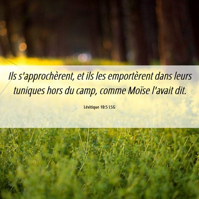 Picture 06 - Lévitique 10:5 LSG - Ils s'approchèrent, et ils les emportèrent dans - Bible Verse Picture