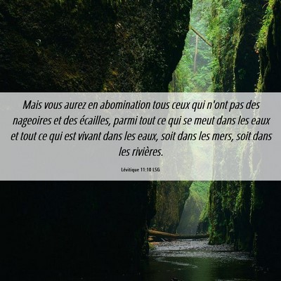 Picture 06 - Lévitique 11:10 LSG - Mais vous aurez en abomination tous ceux qui - Bible Verse Picture