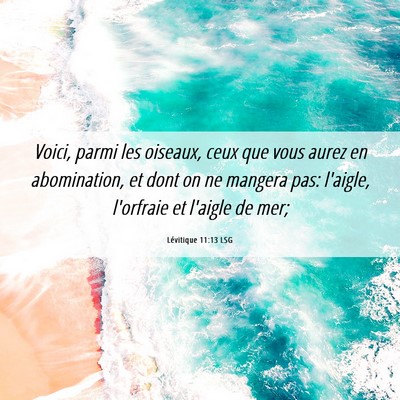 Picture 06 - Lévitique 11:13 LSG - Voici, parmi les oiseaux, ceux que vous aurez en - Bible Verse Picture