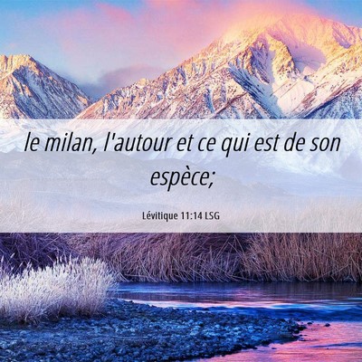 Picture 06 - Lévitique 11:14 LSG - le milan, l'autour et ce qui est de son - Bible Verse Picture
