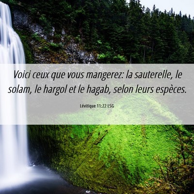 Picture 06 - Lévitique 11:22 LSG - Voici ceux que vous mangerez: la sauterelle, le - Bible Verse Picture