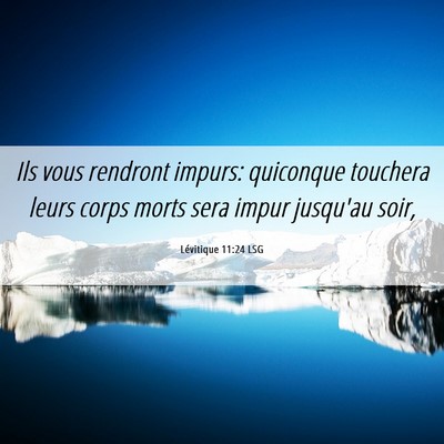 Picture 06 - Lévitique 11:24 LSG - Ils vous rendront impurs: quiconque touchera - Bible Verse Picture