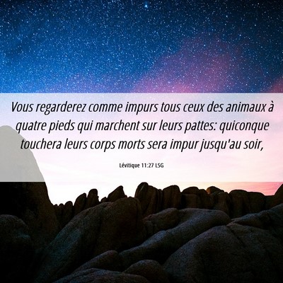 Picture 06 - Lévitique 11:27 LSG - Vous regarderez comme impurs tous ceux des - Bible Verse Picture