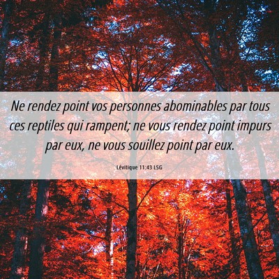 Picture 06 - Lévitique 11:43 LSG - Ne rendez point vos personnes abominables par - Bible Verse Picture