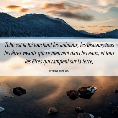 Picture 06 - Lévitique 11:46 LSG - Telle est la loi touchant les animaux, les - Bible Verse Picture