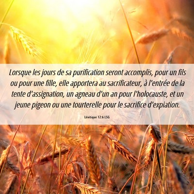 Picture 06 - Lévitique 12:6 LSG - Lorsque les jours de sa purification seront - Bible Verse Picture