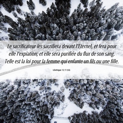 Picture 06 - Lévitique 12:7 LSG - Le sacrificateur les sacrifiera devant l'Eternel, - Bible Verse Picture