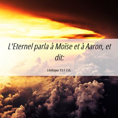Picture 06 - Lévitique 13:1 LSG - L'Eternel parla à Moïse et à Aaron, et - Bible Verse Picture