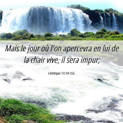 Picture 06 - Lévitique 13:14 LSG - Mais le jour où l'on apercevra en lui de la - Bible Verse Picture