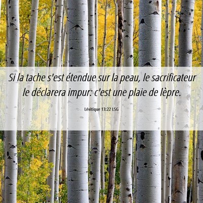 Picture 06 - Lévitique 13:22 LSG - Si la tache s'est étendue sur la peau, le - Bible Verse Picture