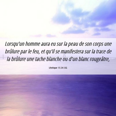Picture 06 - Lévitique 13:24 LSG - Lorsqu'un homme aura eu sur la peau de son corps - Bible Verse Picture