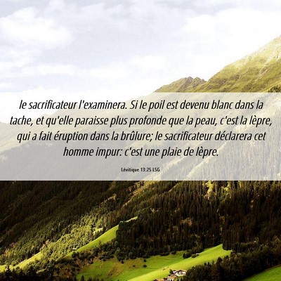 Picture 06 - Lévitique 13:25 LSG - le sacrificateur l'examinera. Si le poil est - Bible Verse Picture