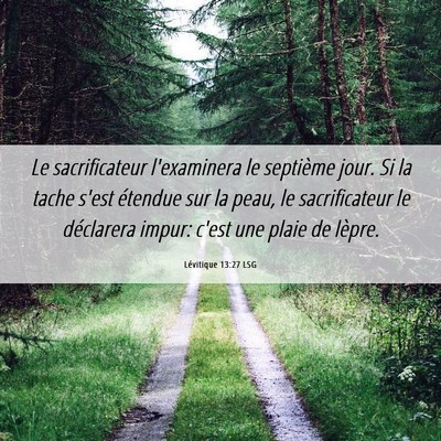 Picture 06 - Lévitique 13:27 LSG - Le sacrificateur l'examinera le septième jour. - Bible Verse Picture