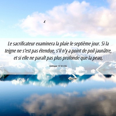 Picture 06 - Lévitique 13:32 LSG - Le sacrificateur examinera la plaie le septième - Bible Verse Picture
