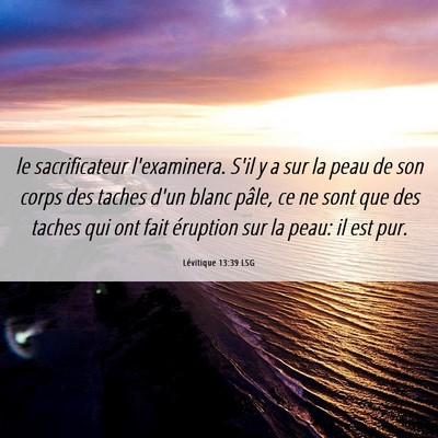 Picture 06 - Lévitique 13:39 LSG - le sacrificateur l'examinera. S'il y a sur la - Bible Verse Picture