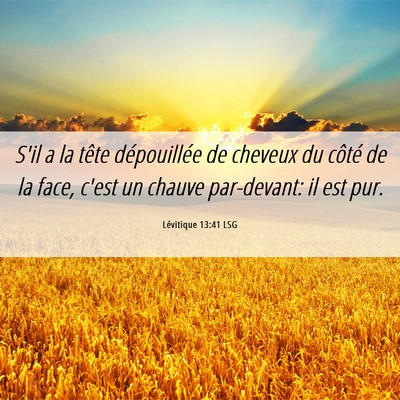 Picture 06 - Lévitique 13:41 LSG - S'il a la tête dépouillée de cheveux du côté - Bible Verse Picture